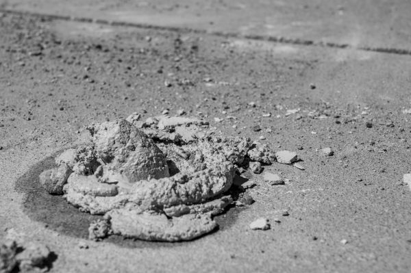 Cost of Driveway Slab Raising in Clearwater