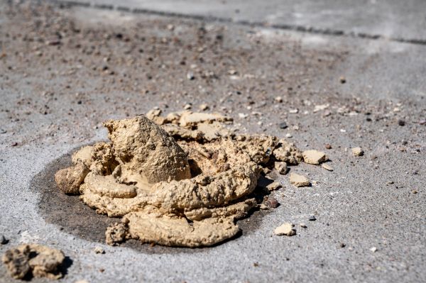 Cost of Driveway Slab Leveling in Clearwater